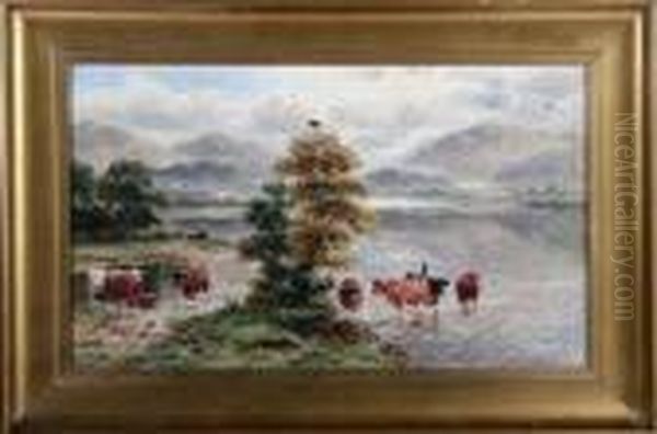 Highland Cattle At A Loch Shore - view 1