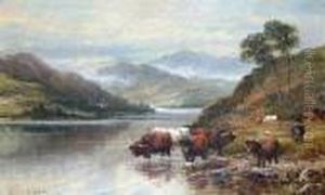 Highland Cattle Watering By A Loch Side