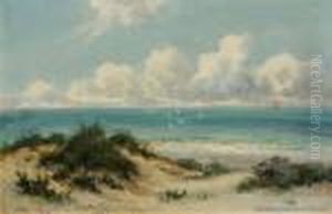Sand Dunes &amp; Seagulls