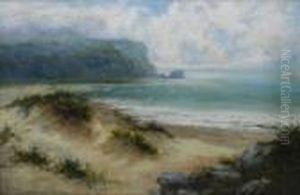 Sand Dunes On The Coast by William Langley