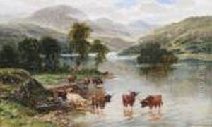 Cattle In The Shallows At Loch Katrine