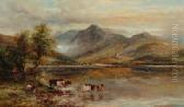Highland Cattle Watering - view 1