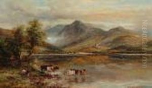 Highland Cattle Watering