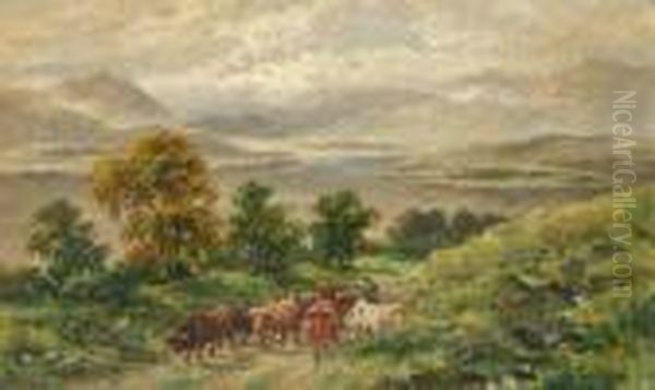 Pascolo - view 1