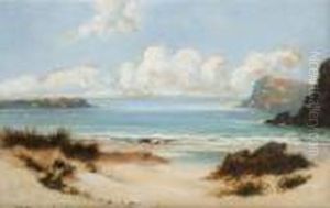 Sand Dunes With Gulls