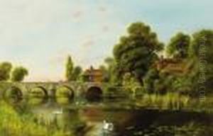 Swans By The Bridge