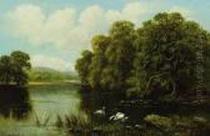 Swans On The River by William Langley
