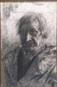 Study Of An Elderly Gentleman