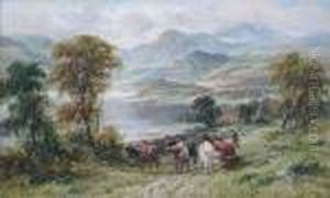 Cattle In A Highland Lake Landscape Cattle In A Highland Lake Landscape