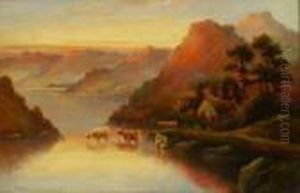 Cattle Watering