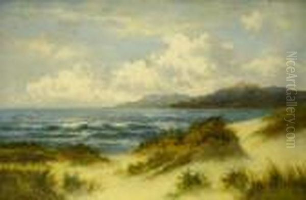 Bute Coast - view 1