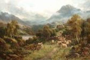 Drover And Sheep In A Highland Landscape