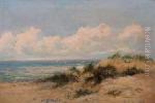 Sand Dunes - view 1
