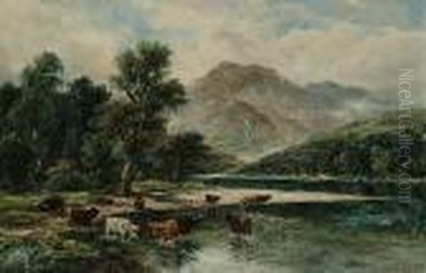 Highland Cattle Watering In An Extensive Landscape - view 1