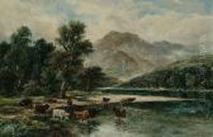 Highland Cattle Watering In An Extensive Landscape