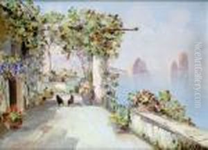 Capri, Terrasse Sur La Mer
