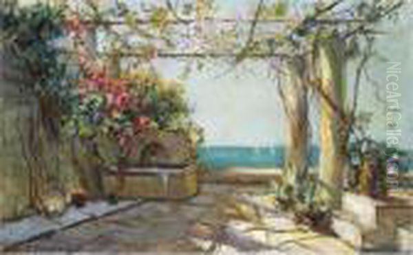View Of A Garden In The South Of France - view 1