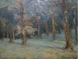 Arbres Sous La Neige