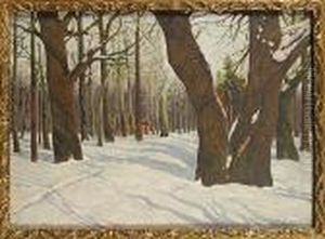 Paysage Enneige En Russie