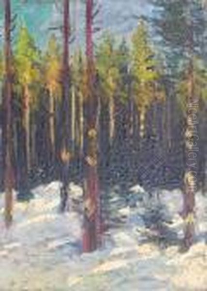 *paysage Hivernale - view 1