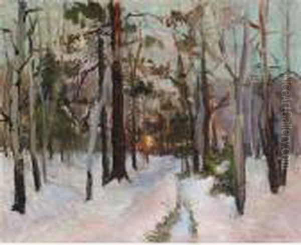Sunset In The Forest - view 1