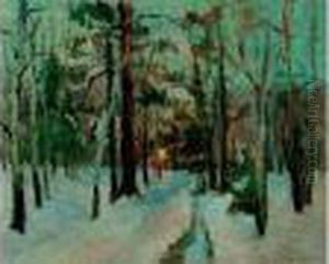Neige En Sous-bois Neige En Sous-bois