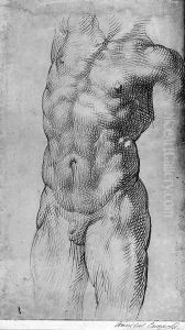 Study for a torso