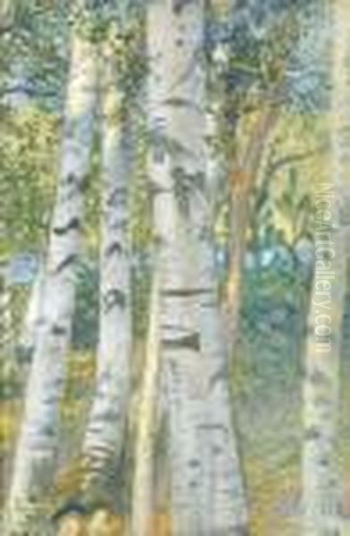 Bjorkstammer (birch Trees) - view 1