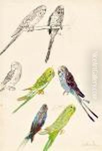 Vogelstudie * by Oskar Laske