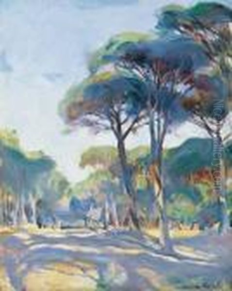 Landscape In Cap Ferrat - view 1