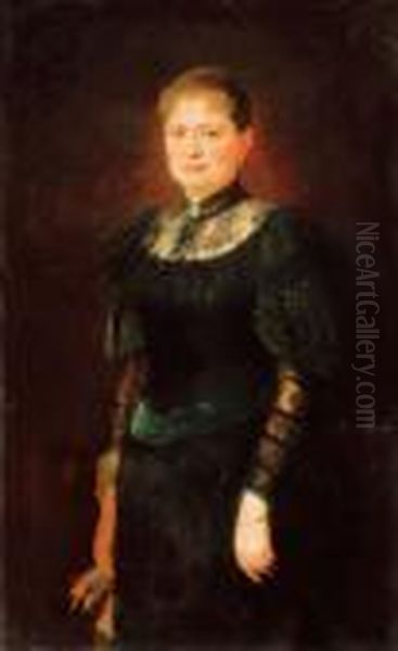 Lady In A Velvet Dress - view 1