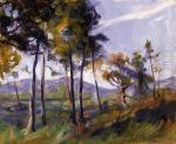 Skirts Of The Forest - view 1