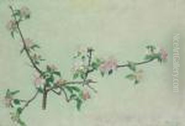 Branche De Pommier - view 1