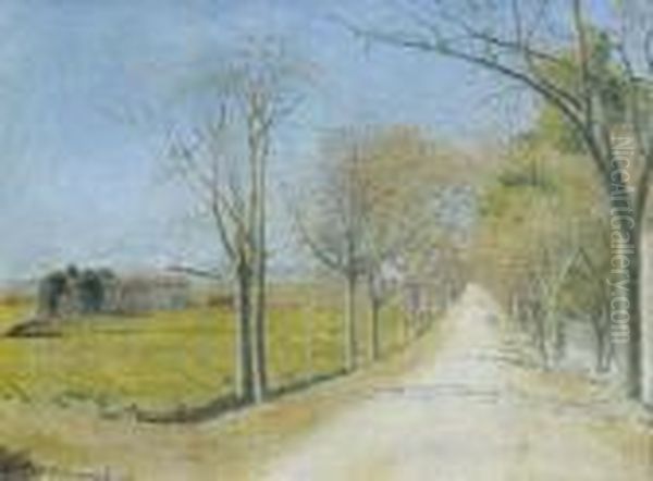 La Route De Cailhau - view 1