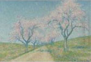 Chemin Borde D'amandiers En Fleurs by Achille Lauge