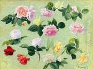 Les Roses Les Roses