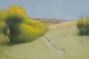 Paysage D'ete Paysage D'ete