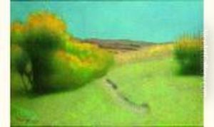 Paysage D'ete Paysage D'ete