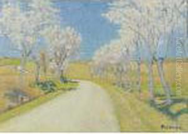 Route Aux Amandiers En Fleurs - view 1