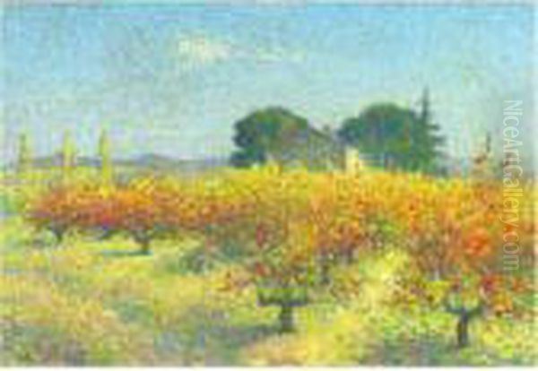 Notre-dame-des-pres, Pres De Cailhau (aude) - view 1