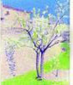 L'arbre En Fleurs