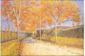 Paysage Paysage