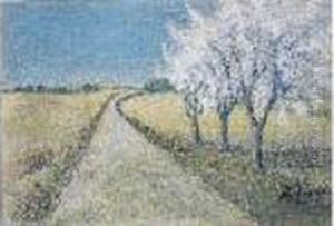 Arbres En Fleurs Sur Une Route De Campagne Arbres En Fleurs Sur Une Route De Campagne