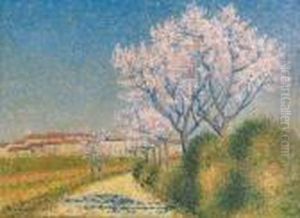 Les Amandiers En Fleurs