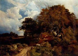The road across the common