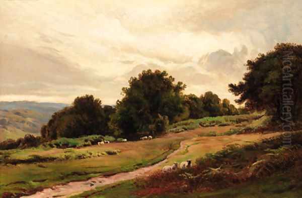 Sheep on a hillside - view 1