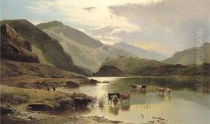 On the Mawddach, North Wales