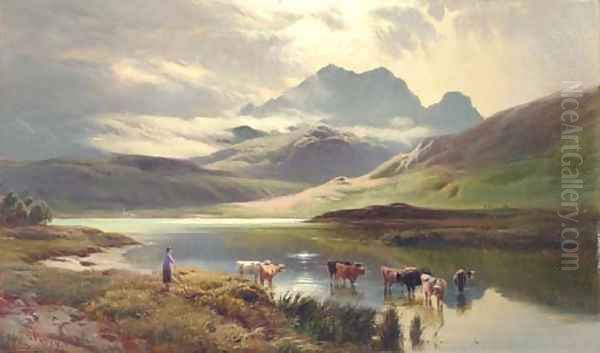 Cattle watering - view 1