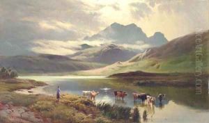 Cattle watering