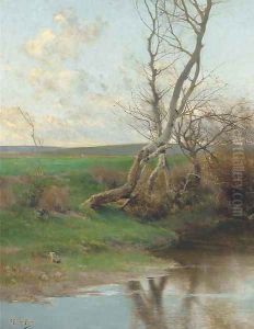 Birch treees on the riverbank